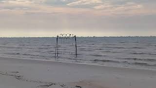 Download lagu Ayunan romantis di pantai seribu bagan mp3