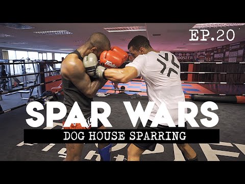 SPAR WARS EP20 - Dog House Sparring