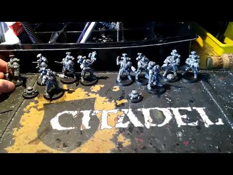 model review: primaris incursors