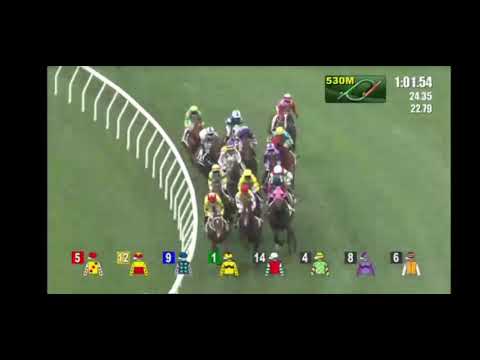 2021 04 05 沙田 第七場 薛恩 馬爾代夫