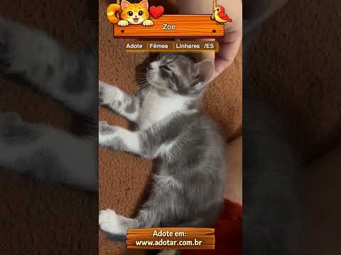 Vídeo de Zoe