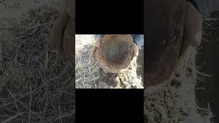 Romania WW2 edit - Homage - Mild High Club