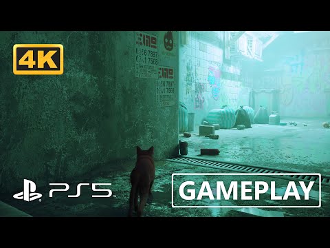 Stray | Immersive PS5 Gameplay 4K 60FPS