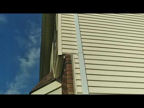 Yellow Jackets Nest in the Siding in Marlboro, NJ