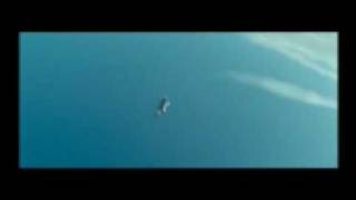 Harmony Korine - Mister Lonely (A Silver Mt. Zion music)