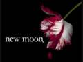 my New Moon Soundtrack #8-When It Rains ...