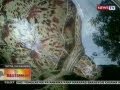 BT Buntis Na Pawikan Napadpad Sa Baybayin Ng Malolos Bulacan