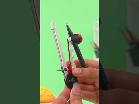 Camlin Reels | Kaizen Films | 2024