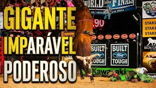 A LENDA DE BUSHWACKER E AS QUEDAS DOS CAMPEÕES MUNDIAIS DA PBR