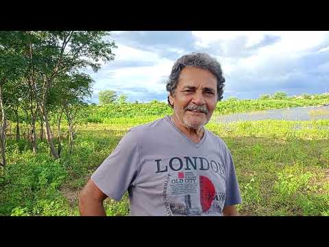AÇUDE SÃO MATEUS 08.05.26 FALTANDO 1 METRO E 18 CENTÍMETROS P/ATINGIR CAPACIDADE MÁXIMA. CANINDE CE 