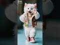Tunak Tunak Tun Tunna Cute Cat Dance Video ‍ ️ Trendingsong Bhojpurisong Tunaktunaktun