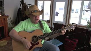 1042 - Dead Skunk - Loudon Wainwright III cover with chords and lyrics