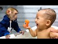 Watch All The Cute And Obedient Videos Of Monkey Kaka And Baby Diem