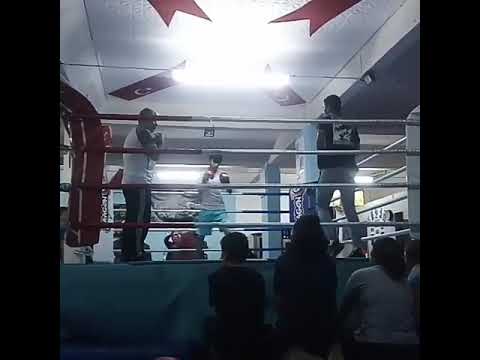 Sparring boksing