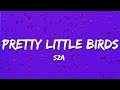 SZA Pretty Little Birds Lyrics Ft Isaiah Rashad
