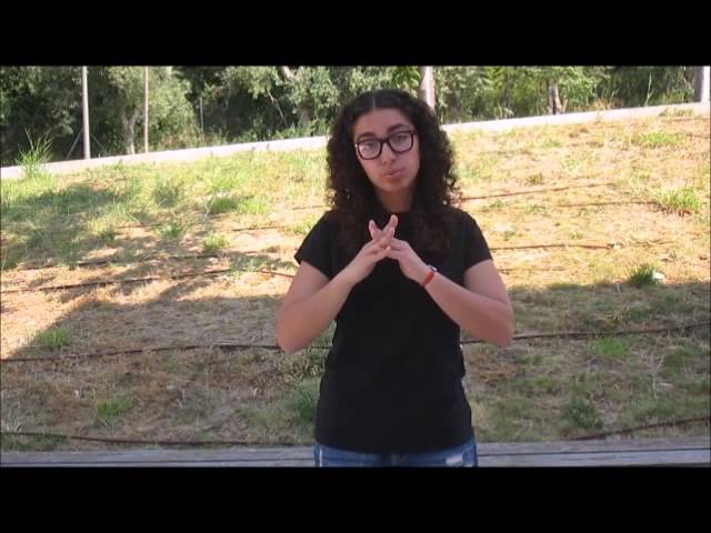 imagem ilustrativa da atividade