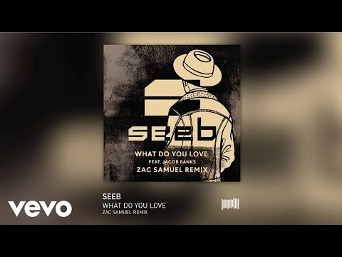 Video thumbnail for What Do You Love (Zac Samuel Remix)