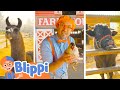 Blippi Visits A Petting Zoo Best Animal Videos For Kids Kids Songs And Nursery Rhymes