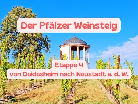 Der Pfälzer Weinsteig | Etappe 04 Deidesheim - Neustadt an der Weinstraße | August 2024