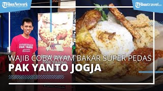 Wajib Coba Ayam Bakar Pak Yanto, Kuliner Pedas Favorit di Kota Jogja