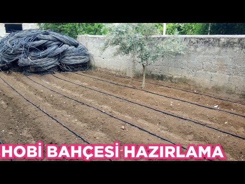 , title : 'HOBİ BAHÇESİ SERİSİ 1 - TOPRAK HAZIRLAMA VE DİKİM TÜM AYRINTIRLAR TEK VİDEO'