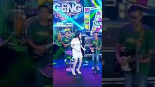 Download lagu Mangku purel neng karaokean #story #shortsvstiktok #shorts #tiktok #trending #viral  #agengmusic mp3