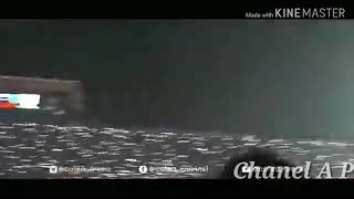 Download lagu Story' wa Arema Day💜 mp3 Download lagu Story' wa Arema Day💜 mp3