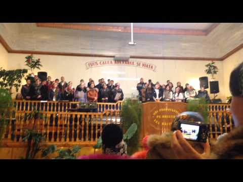 Tinerii Corjeuti - Suntem straini pe-acest pamint