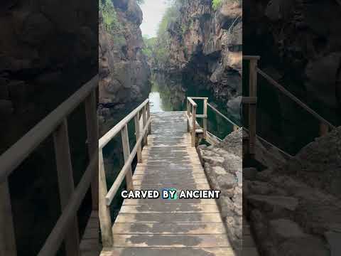 SNAPSHOTS: LAS GRIETAS, SANTA CRUZ, GALAPAGOS