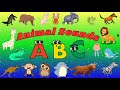 ABC Animal Sounds Song B12TH10 Phonics Animals Song Kids TV