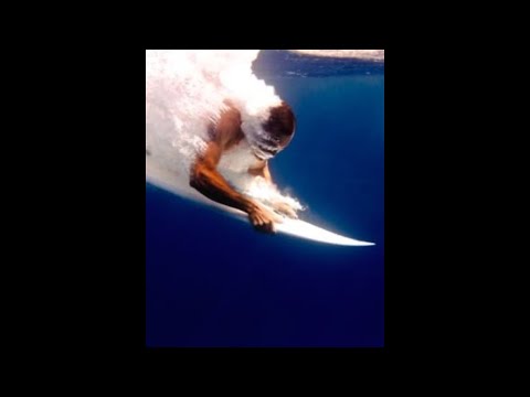 Oboy x Gunna x Zola Type Beat - "Surf" (prod. dibi)