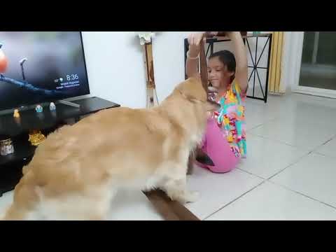 28th October, 2023..