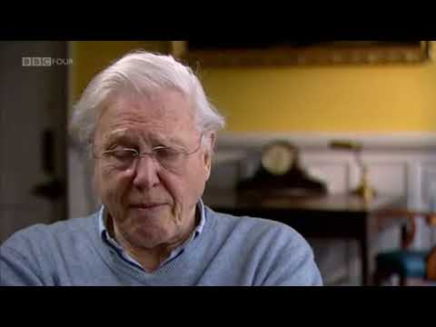 BBC Great Thinkers: In Their Own Words