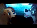 Garfield In Lady And The Tramp PT 10 The Next Morning Chicken Chase Caught