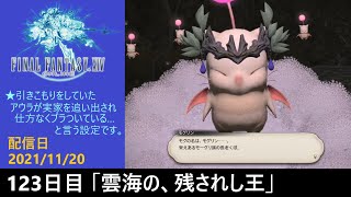 #123【PS4配信】何も知らんFF14「雲海の、残されし王」