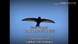 Download lagu Tongkat Musa Super (Sp) mp3 Download lagu Tongkat Musa Super (Sp) mp3