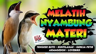 Download lagu 99,9% cepat masuk ! MASTERAN CENDET FULL ISIAN TEMBAKAN MEWAH‼️ mp3