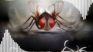 Download lagu Eega Eega Eega Bass Boosted Song | Rajamouli Old Movie Song | Samantha Nani Movie Song mp3