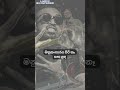 Usama Thanaka උසම තැනක Crish Vix Drill Team Lyric Video Lyricvideo Sinhalarap Shorts
