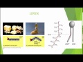 Biochemistry Review