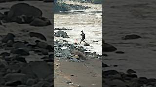 Download lagu momen yg terekam‼️sempat mengira pemancing itu mengangkat ikan ternyata #shorts mp3