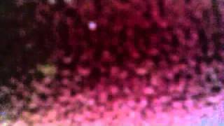 Download lagu psf rap song mp3