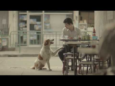 Assista apenas 1 minuto desse vídeo!!! IMPOSSÍVEL NÃO CHORAR!