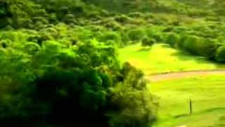 افلام تحميل افلام للكبار فقط انظر الى السيارة