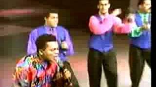 Salsa Con Coco Lyrics English Translation
