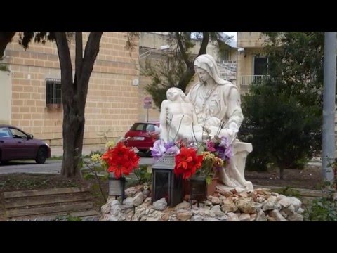 Planting of Jacarandas at Santa Lucija, Malta