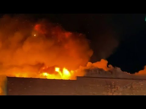 Local 4 News (Saturday, April 11, 2020)