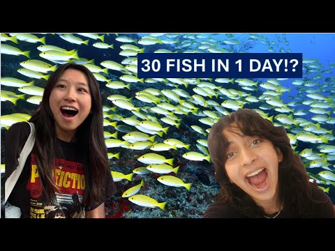 on THIS channel we will PROVIDE 100,000 UNITS OF MEANING to a population of EXISTENTIAL YOUTH