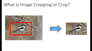 Crop Images in Python using OpenCV and PyCharm