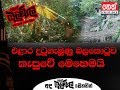 balumgala-08-06-2018